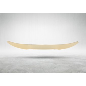 Bagaj Spoyleri X4:G02